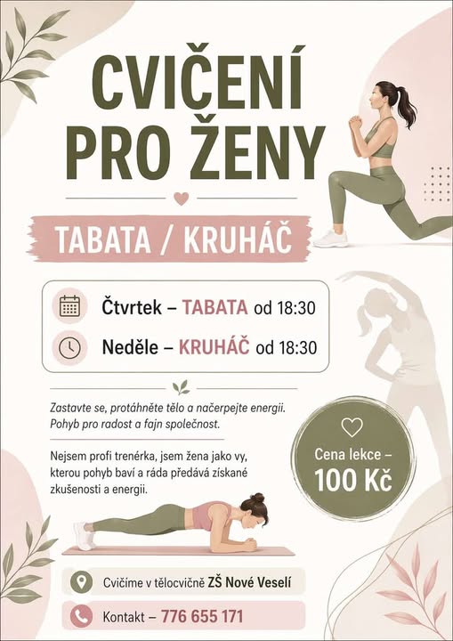 679558221 1556415619818135 4793800225676457471 n